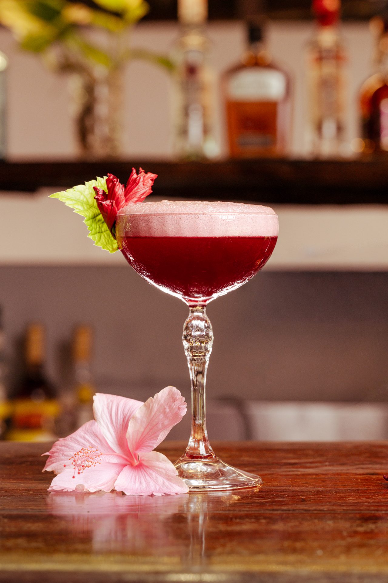 Food Photography