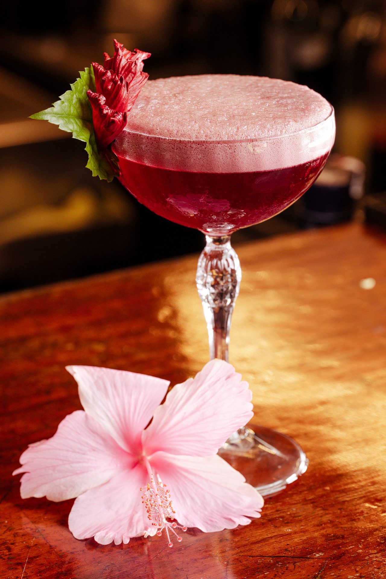 Food Photography