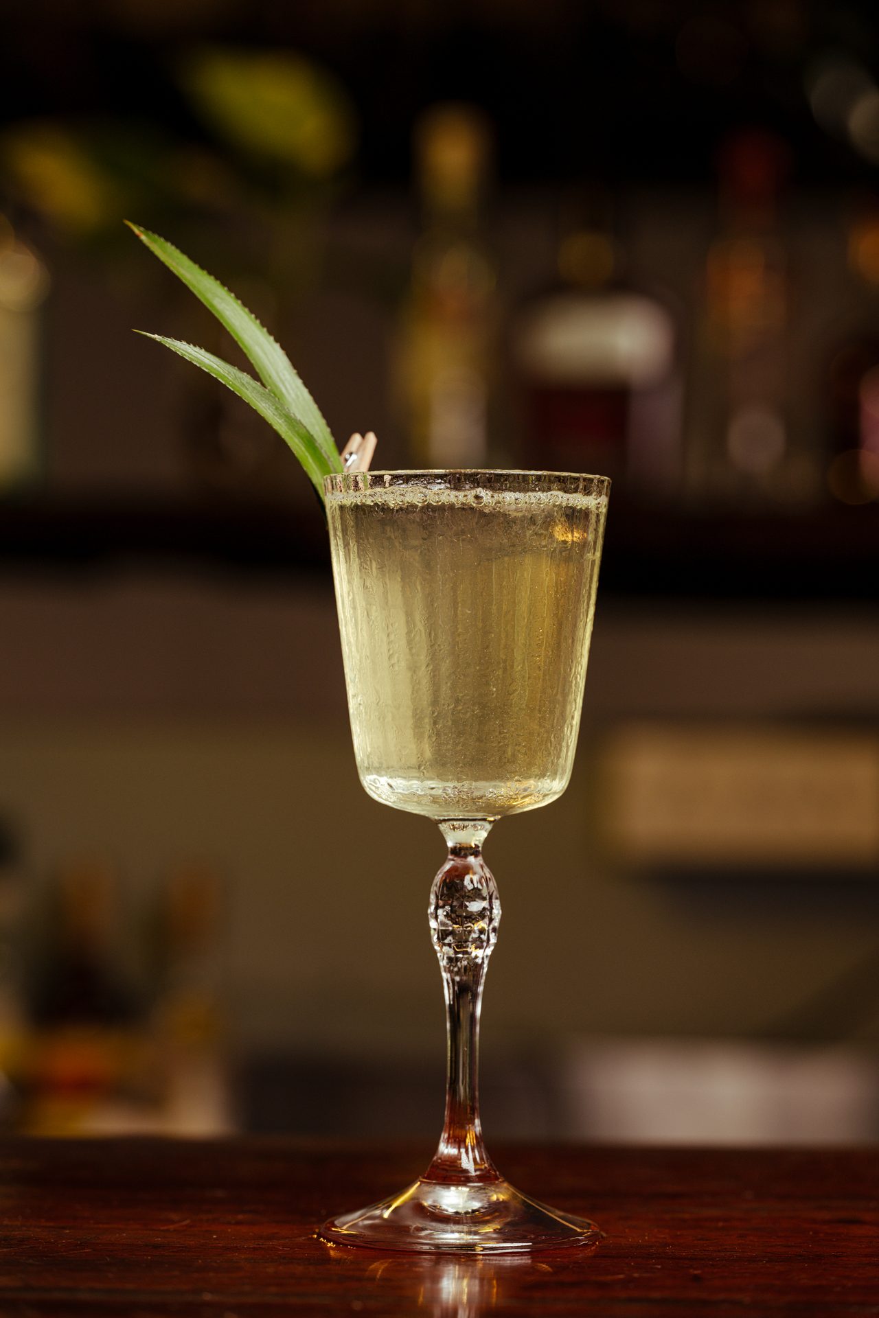 Food Photography