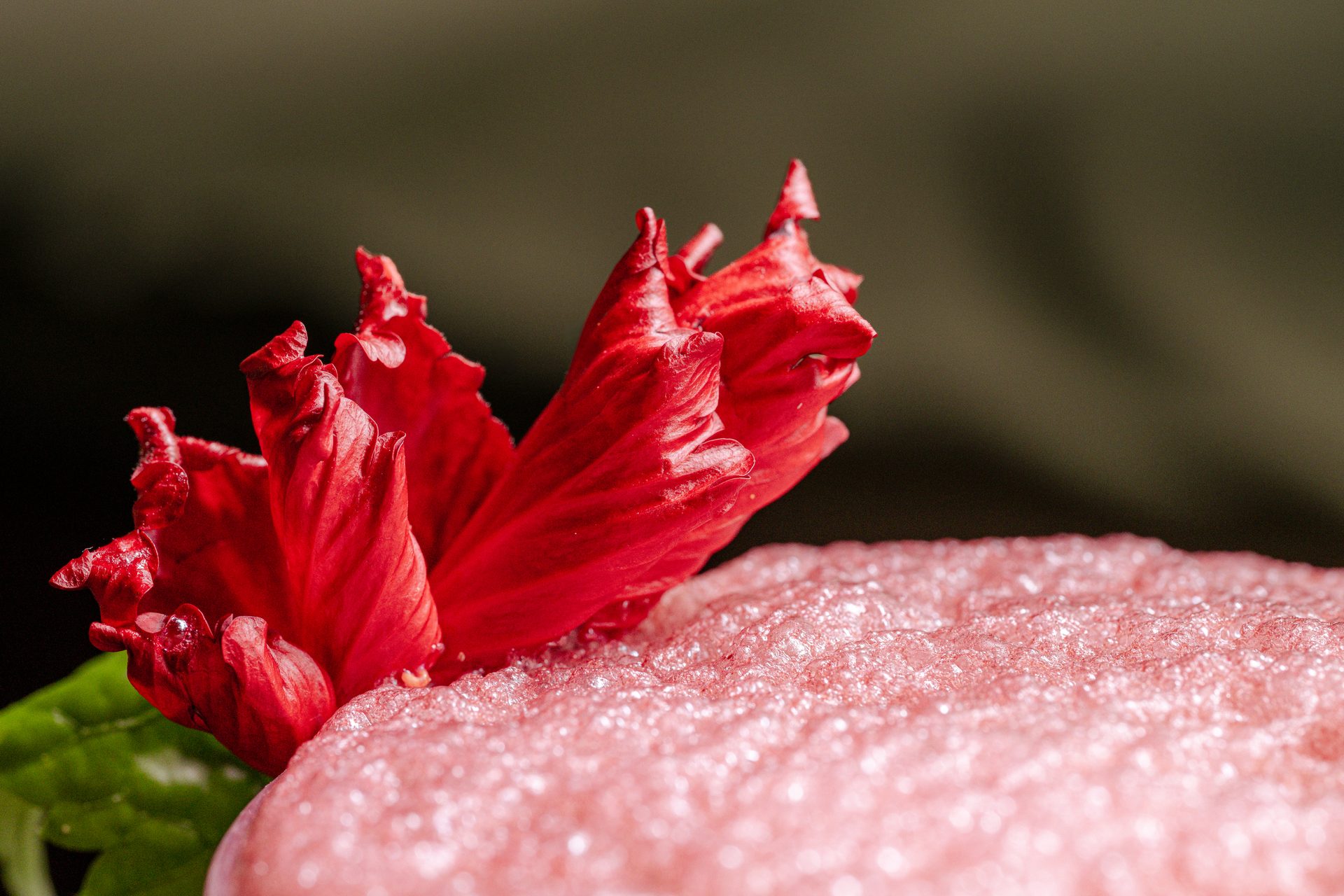 Food Photography