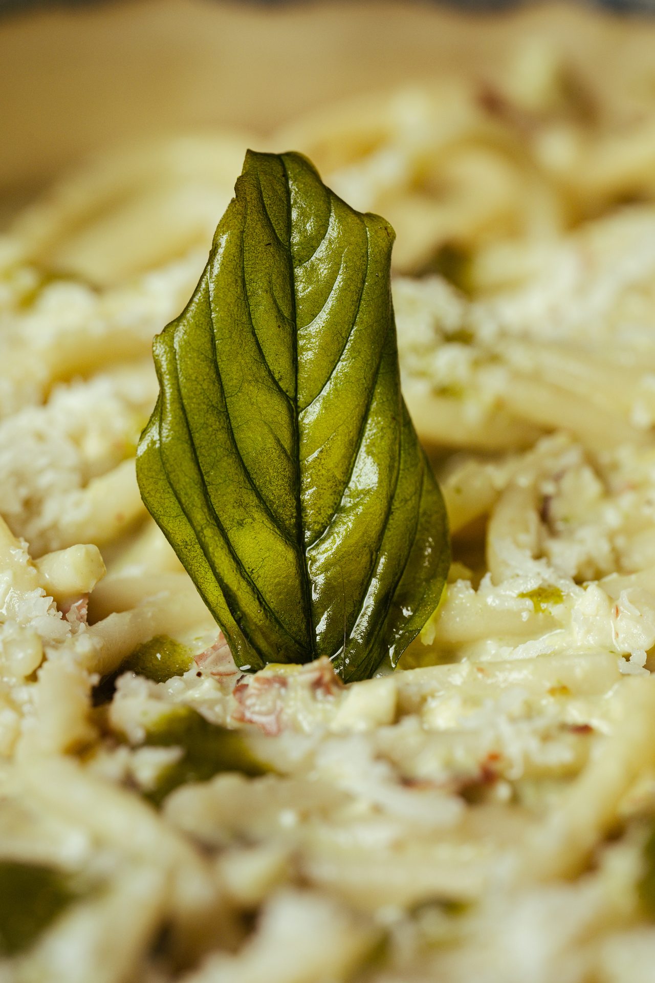 Food Photography
