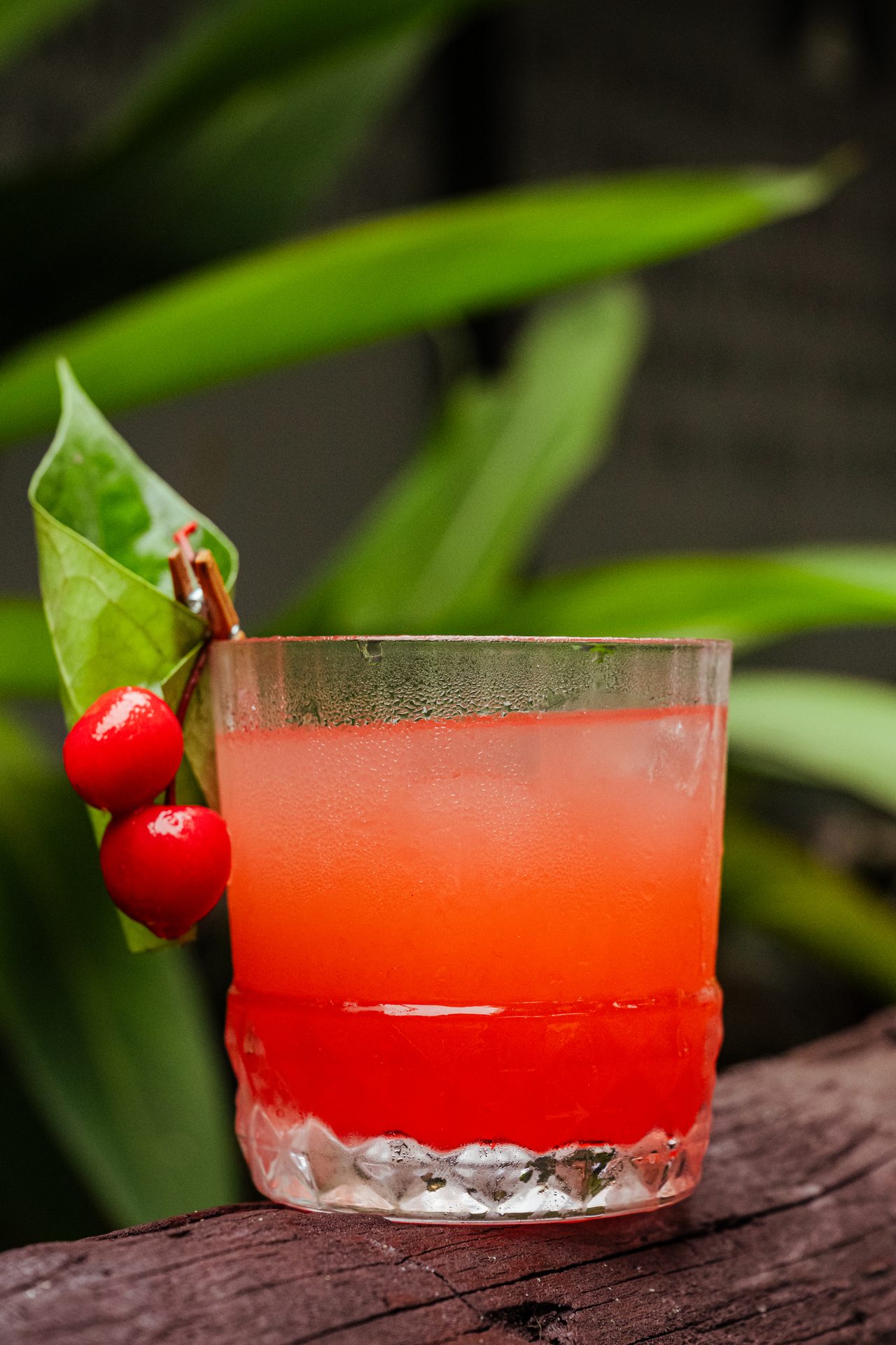 Food Photography