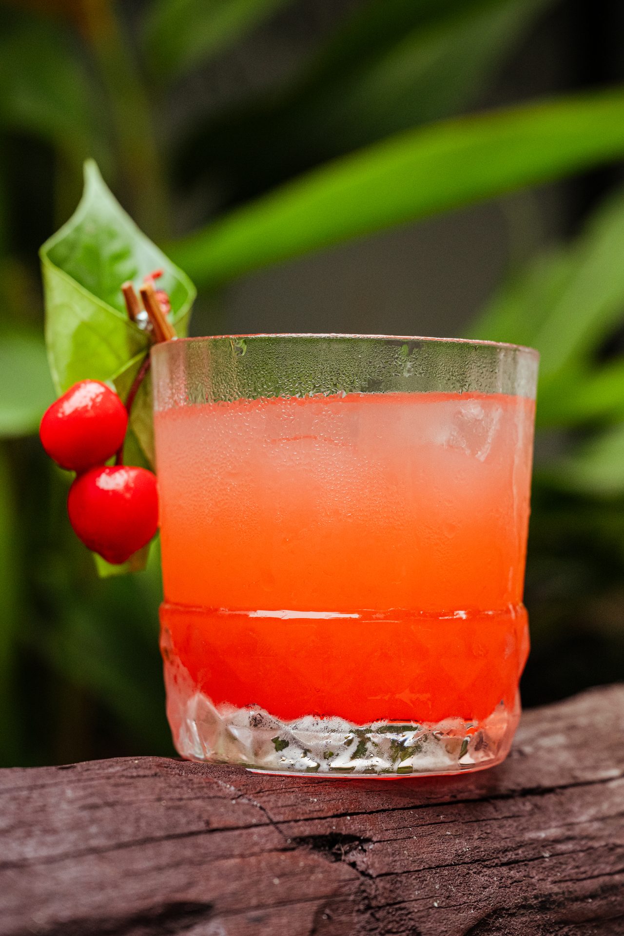 Food Photography