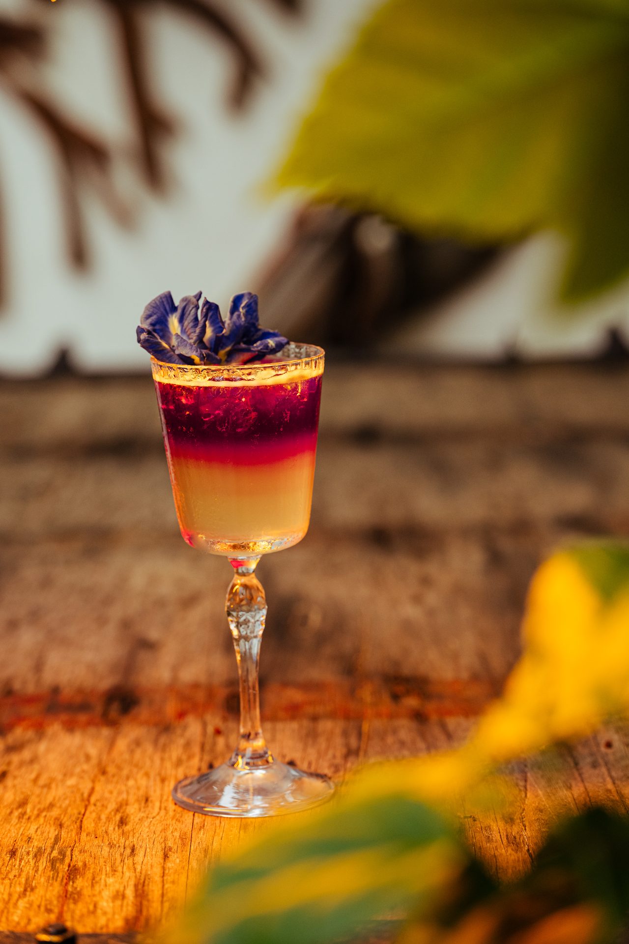 Food Photography