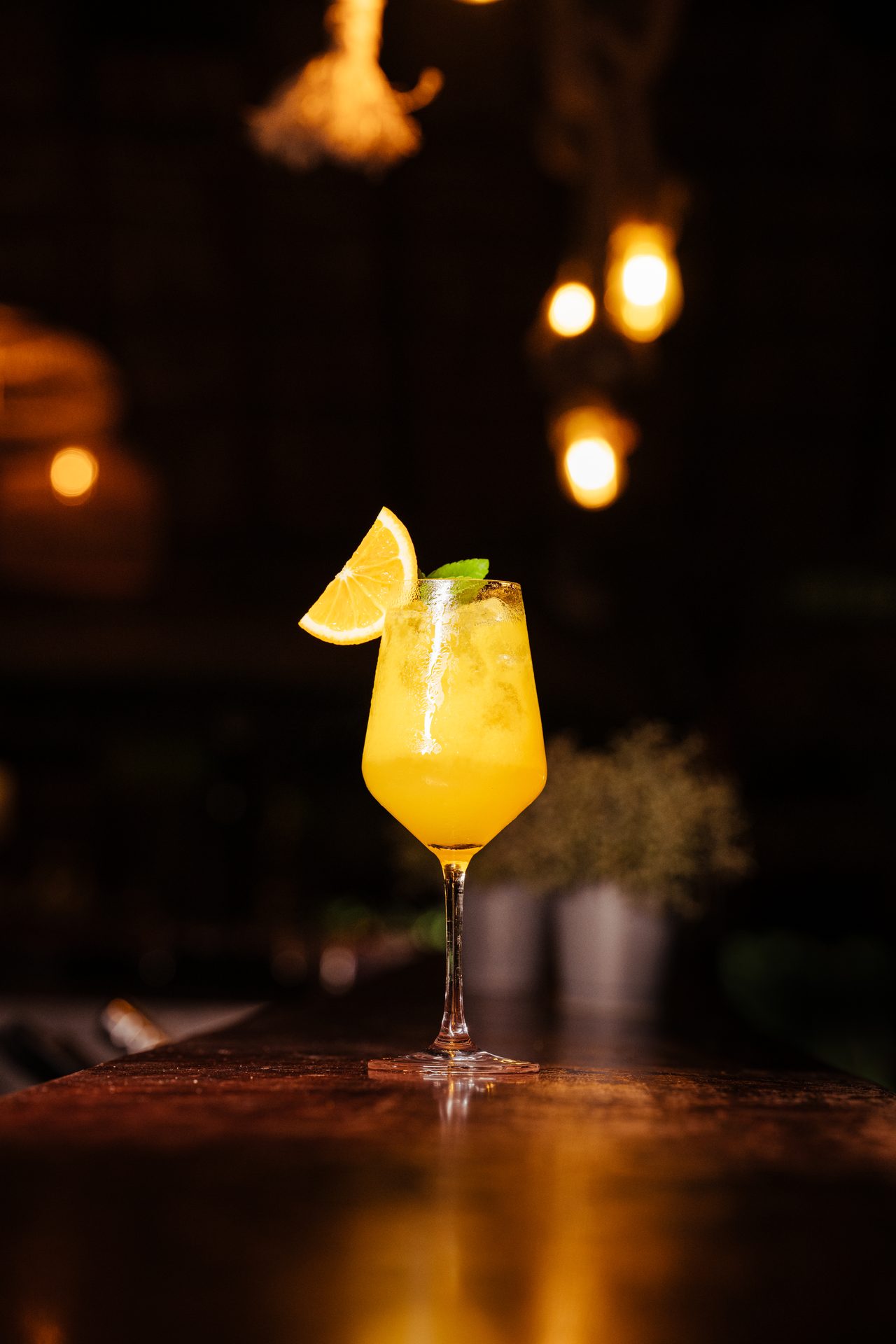 Food Photography