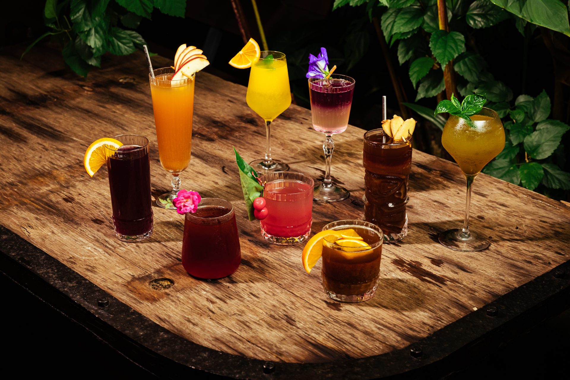 Food Photography