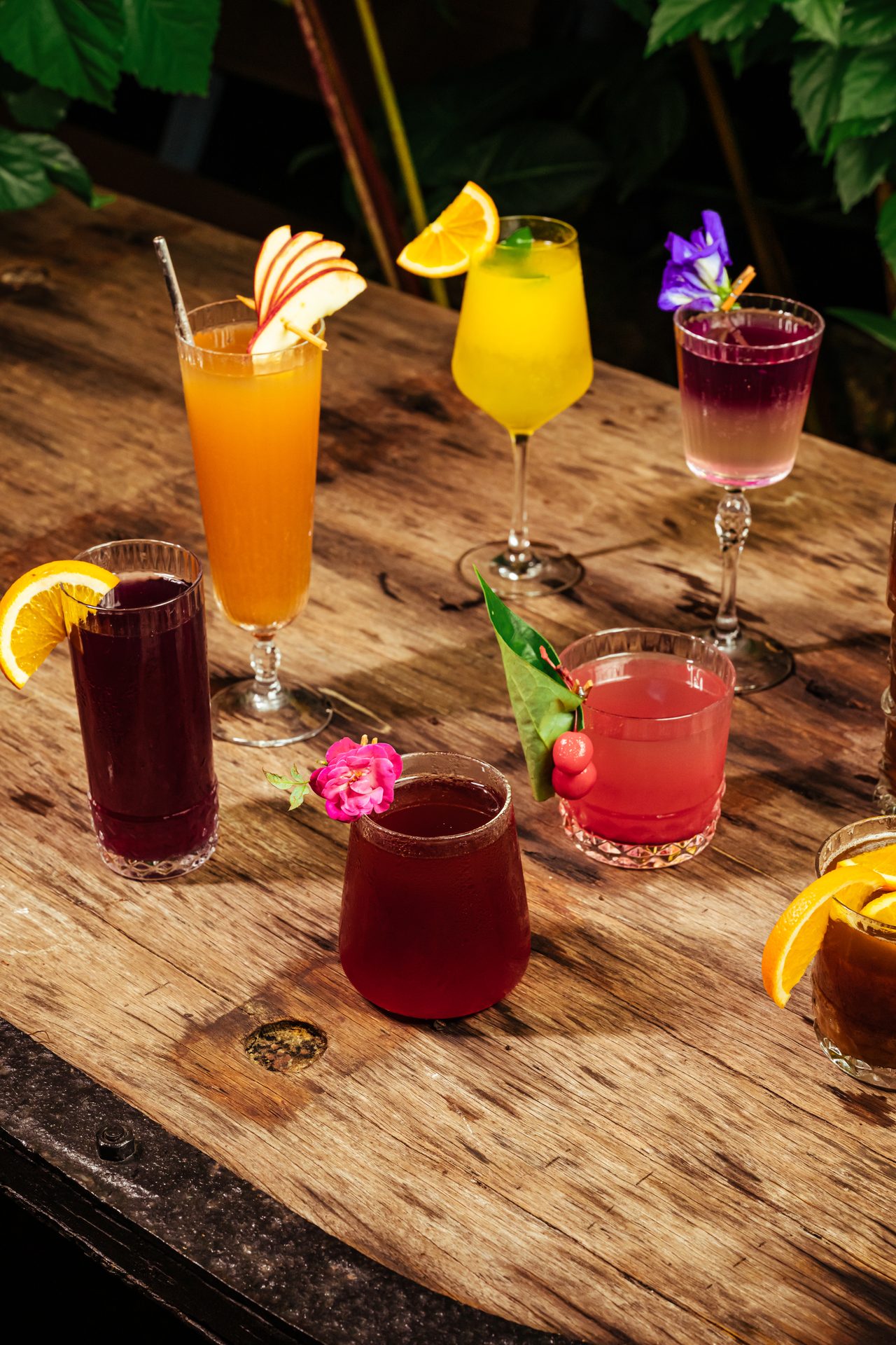 Food Photography