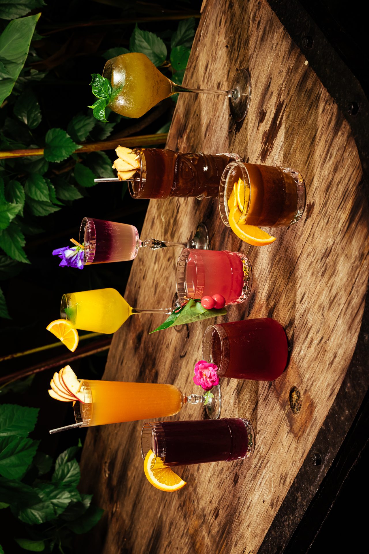 Food Photography