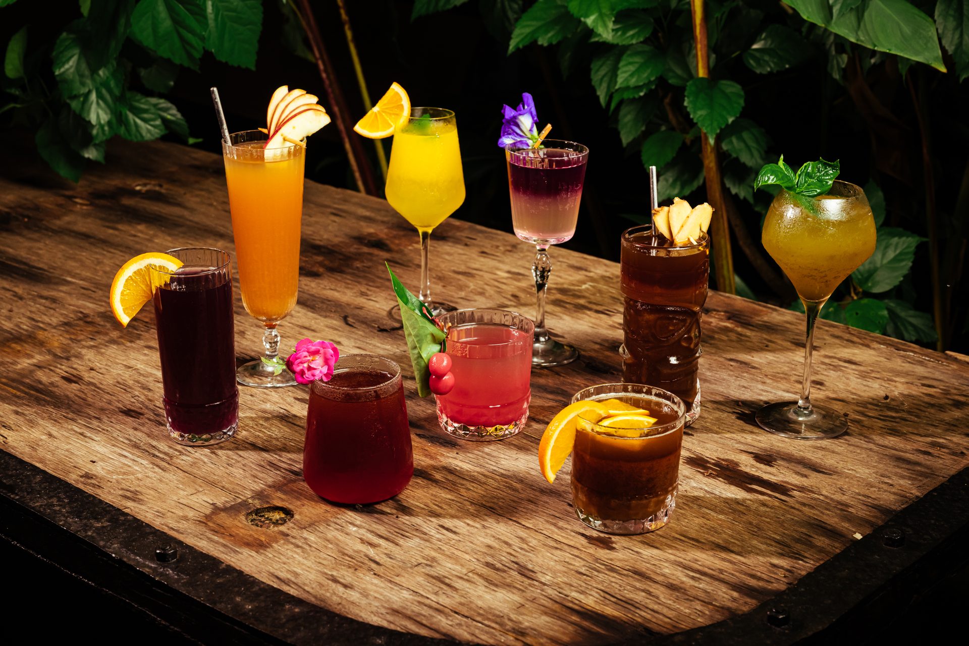 Food Photography